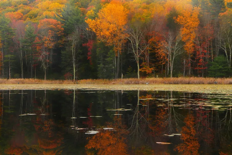 How to Price Your Berkshires Vacation Rental: A Data-Driven Guide for Homeowners